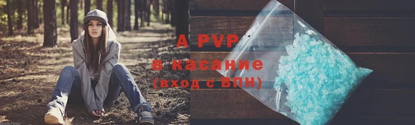 apvp Алзамай