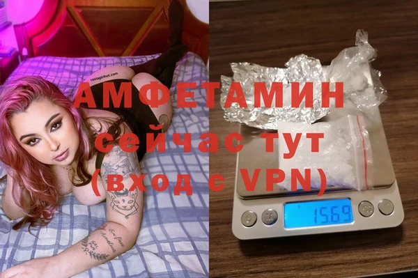 apvp Алзамай