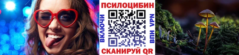 Псилоцибиновые грибы ЛСД  Купить закладки  Грайворон 